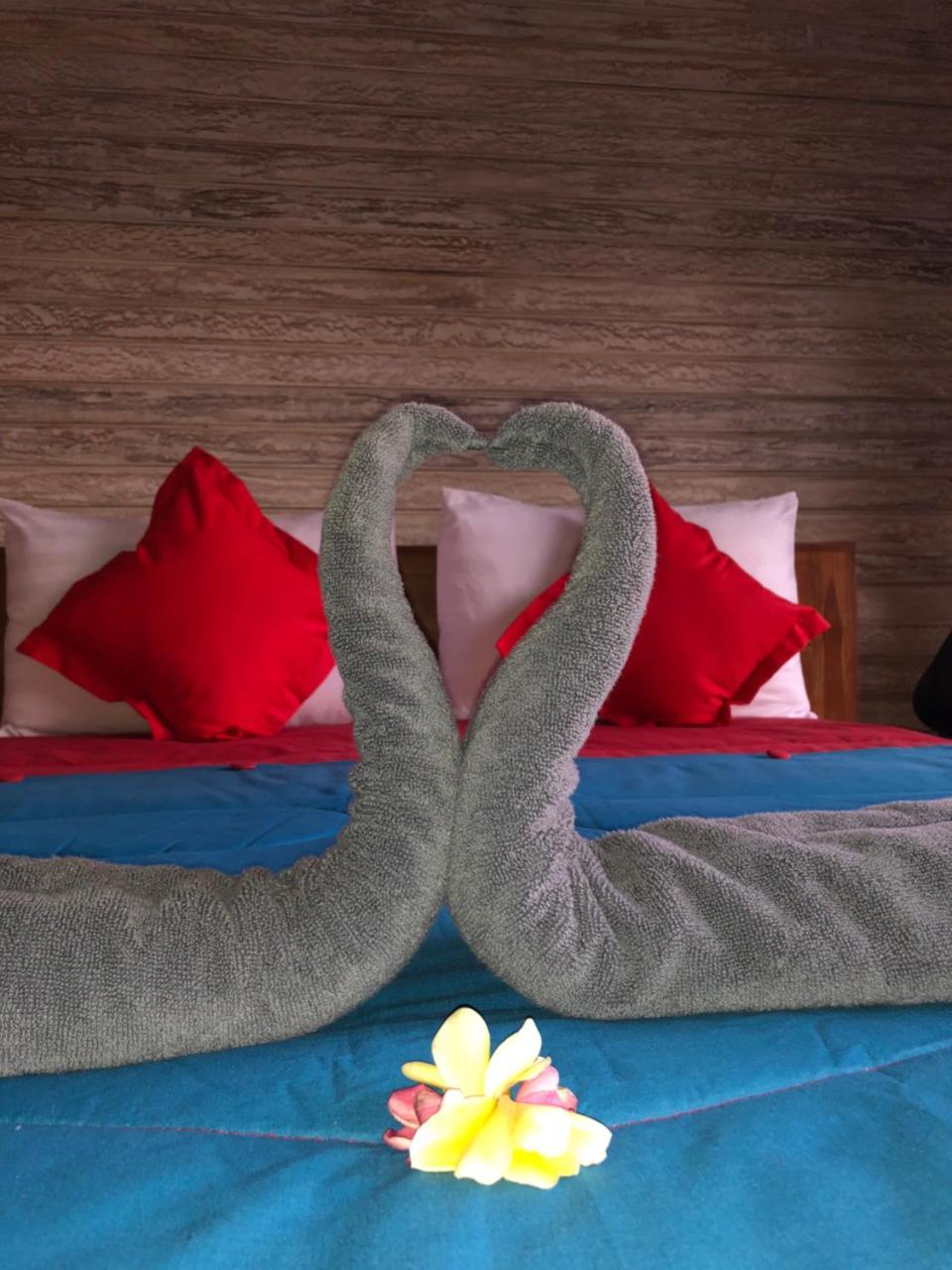 Auora Guest House 蓝梦岛 外观 照片